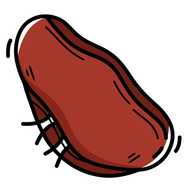 Beef Spleen