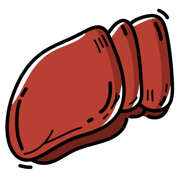 Beef Liver